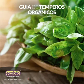 Guia de temperos orgânicos