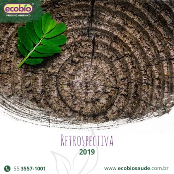 Retrospectiva 2019