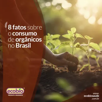 Oito fatos sobre o consumo de orgânicos no Brasil