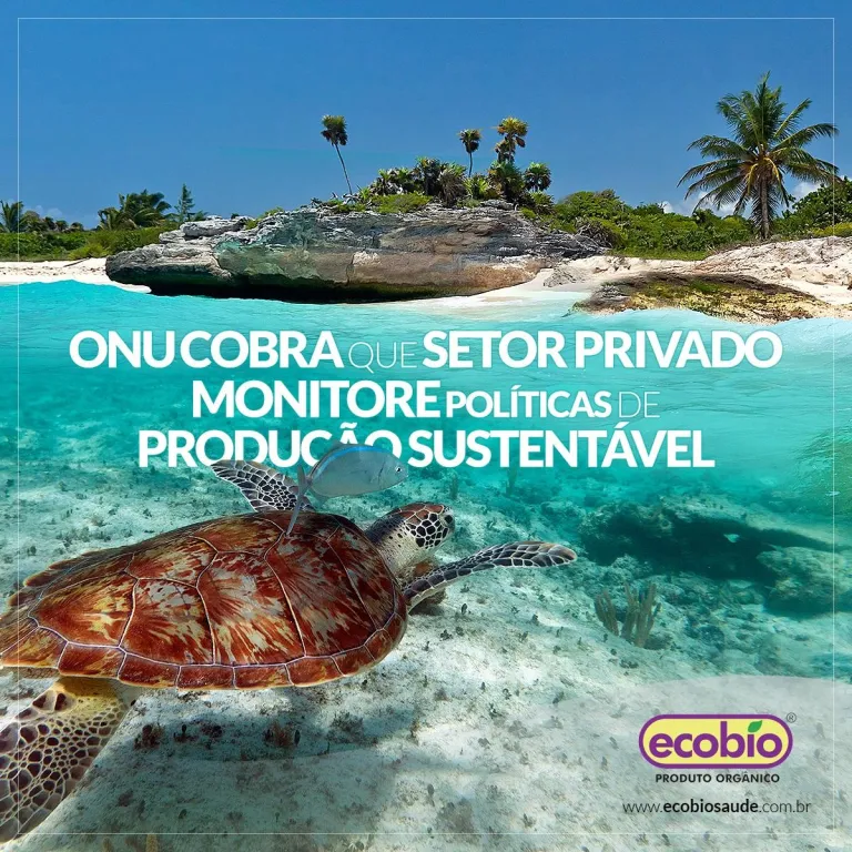 ONU cobra que setor privado monitore políticas de produção sustentável