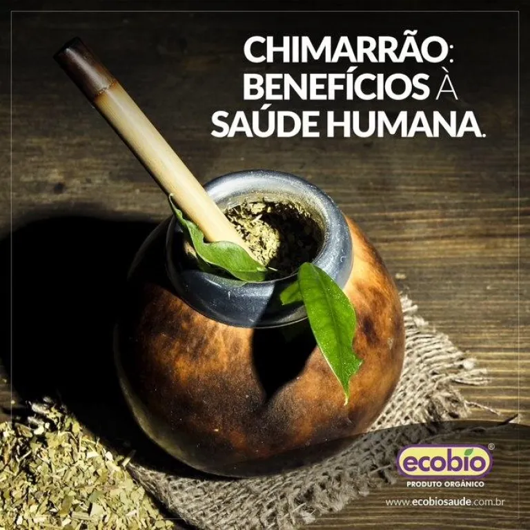 Chimarrão: benefícios à saúde humana