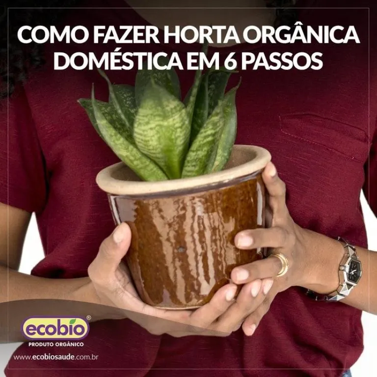 Como fazer horta orgânica doméstica em 6 passos