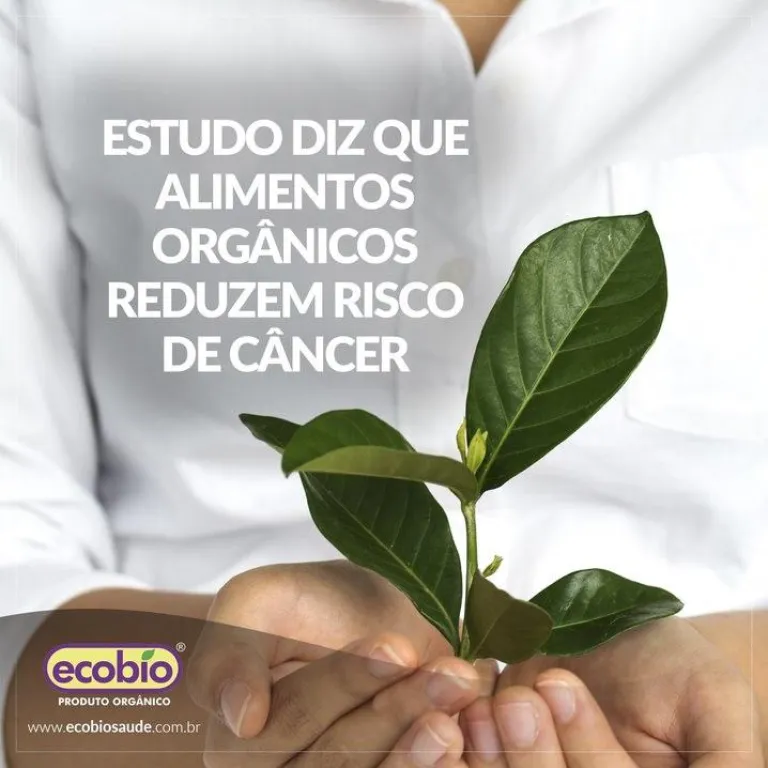 Estudo mostra que alimentos orgânicos reduzem risco de câncer