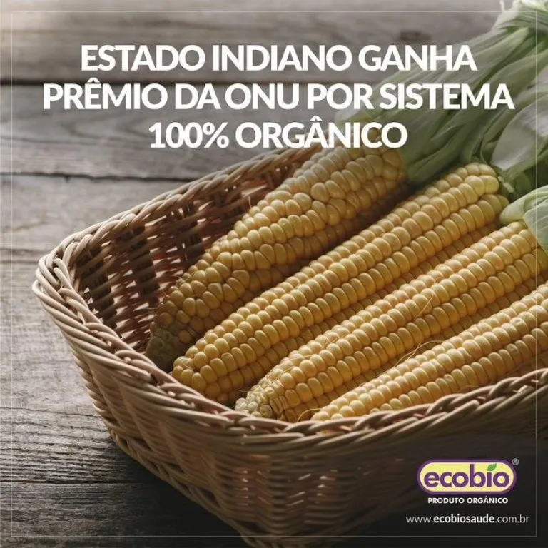 Estado indiano ganha prêmio da ONU por sistema 100% orgânico