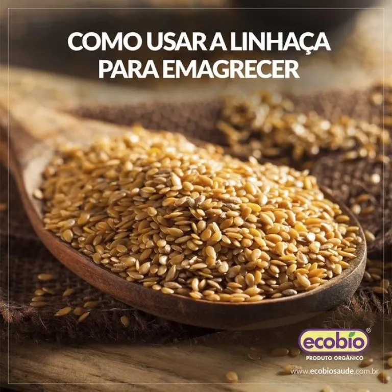 Como Usar a Linhaça Para Emagrecer