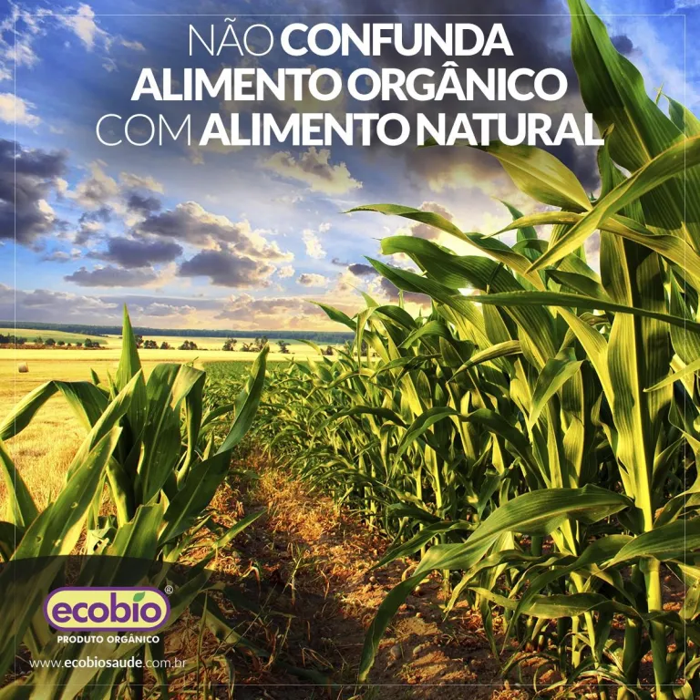 Não confunda alimento orgânico com alimento natural
