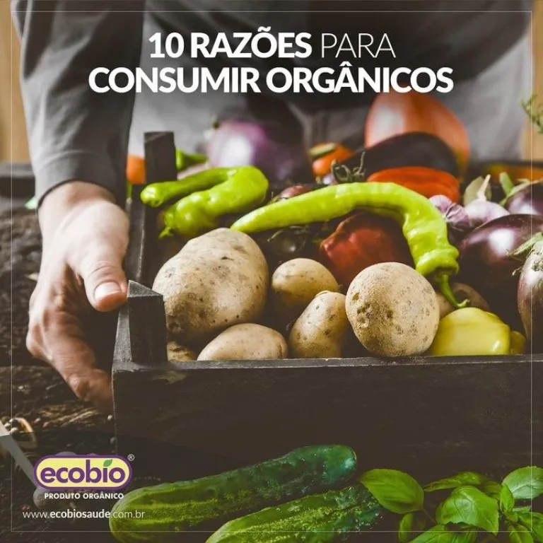 10 RAZÕES PARA CONSUMIR ORGÂNICOS