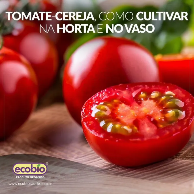 TOMATE-CEREJA, COMO CULTIVAR NA HORTA E NO VASO