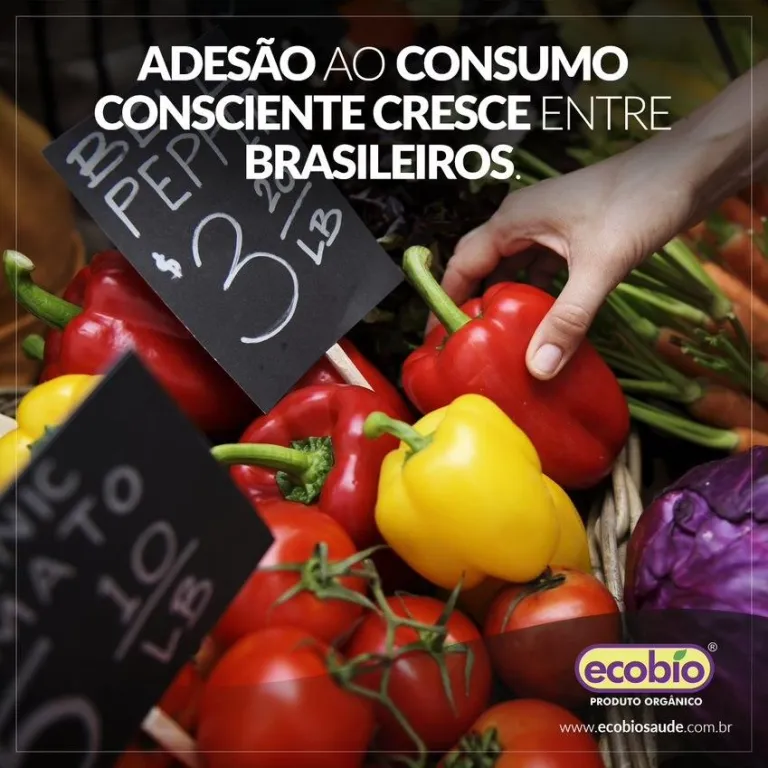 Adesão ao consumo consciente cresce entre brasileiros, diz pesquisa