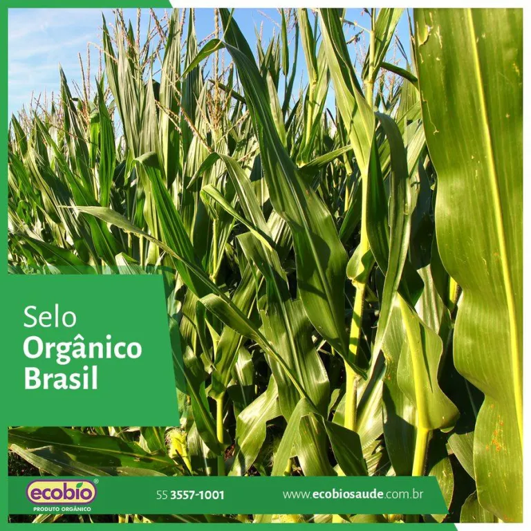 Selo Orgânico Brasil