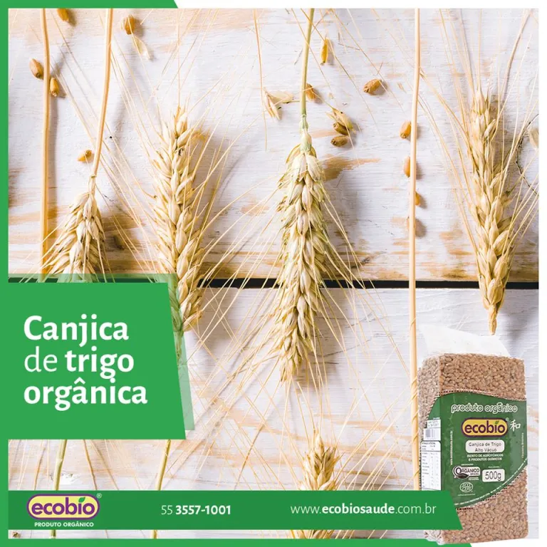 Canjica de Trigo Orgânica