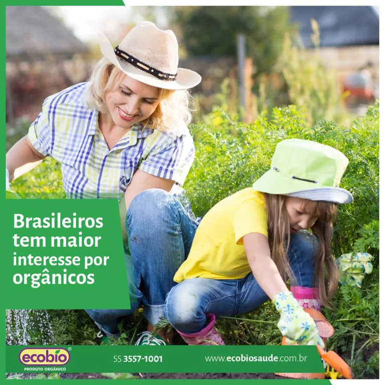 Brasileiros têm maior interesse por orgânicos