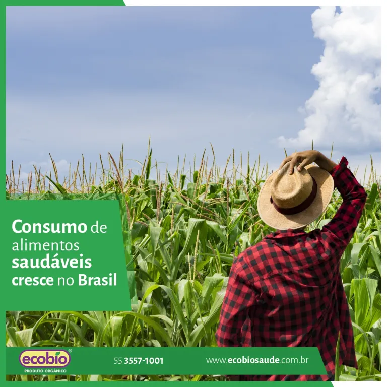 Consumo de alimentos saudáveis cresce no Brasil