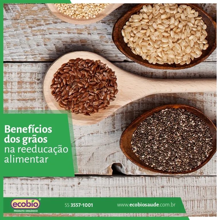 Benefícios dos grãos na reeducação alimentar