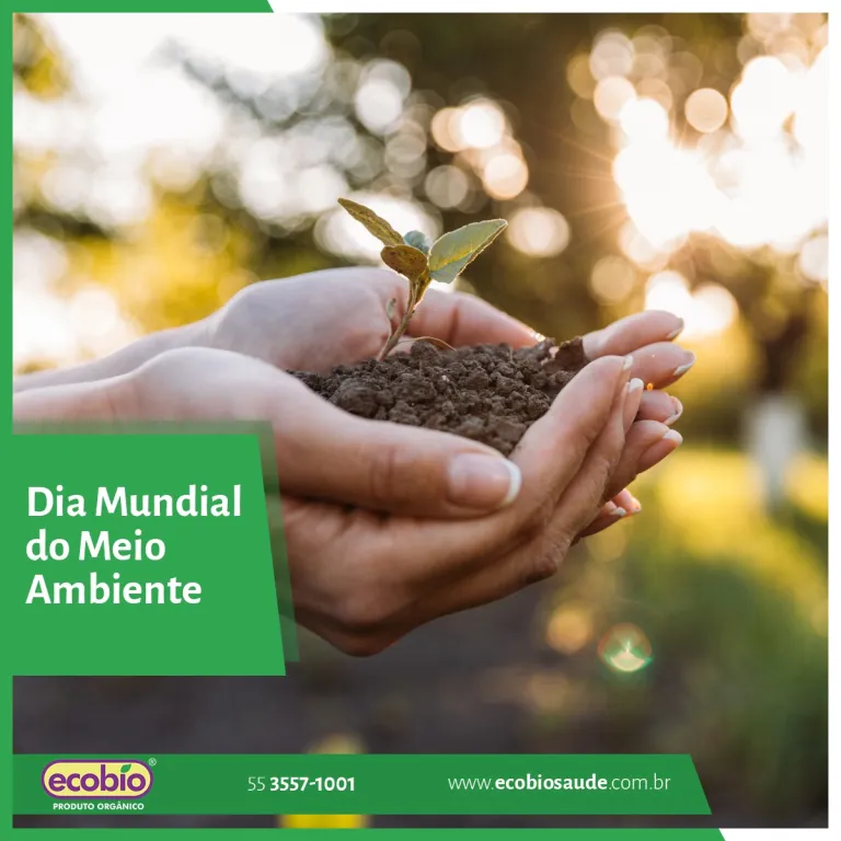 Dia Mundial do Meio Ambiente