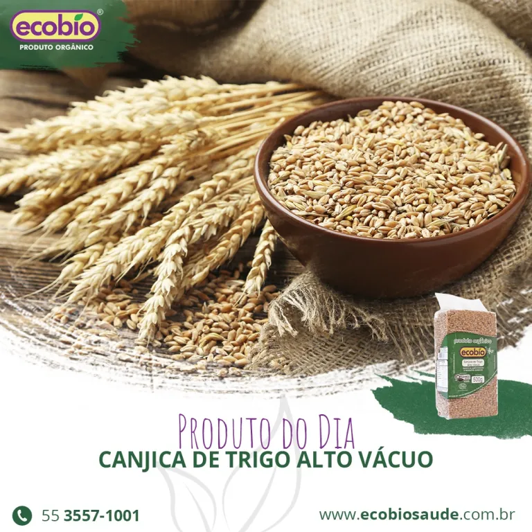 Canjica de Trigo Orgânico Alto Vácuo