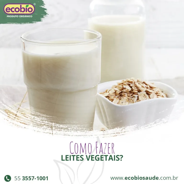 Como fazer leites vegetais?