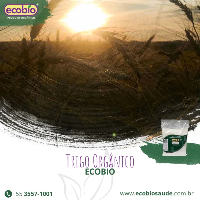 Trigo Orgânico Ecobio
