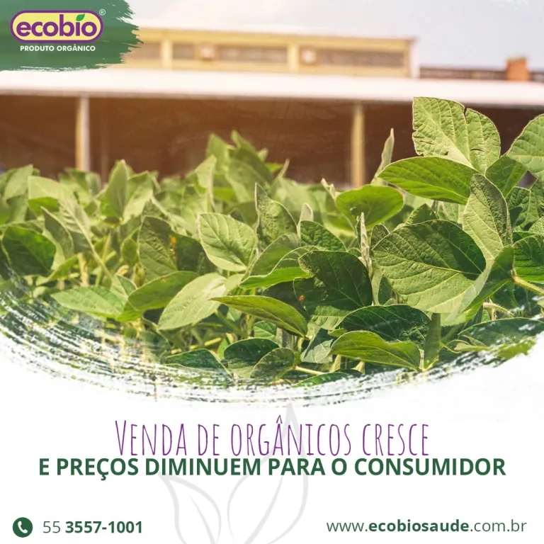 Venda de orgânicos cresce e preços diminuem para o consumidor