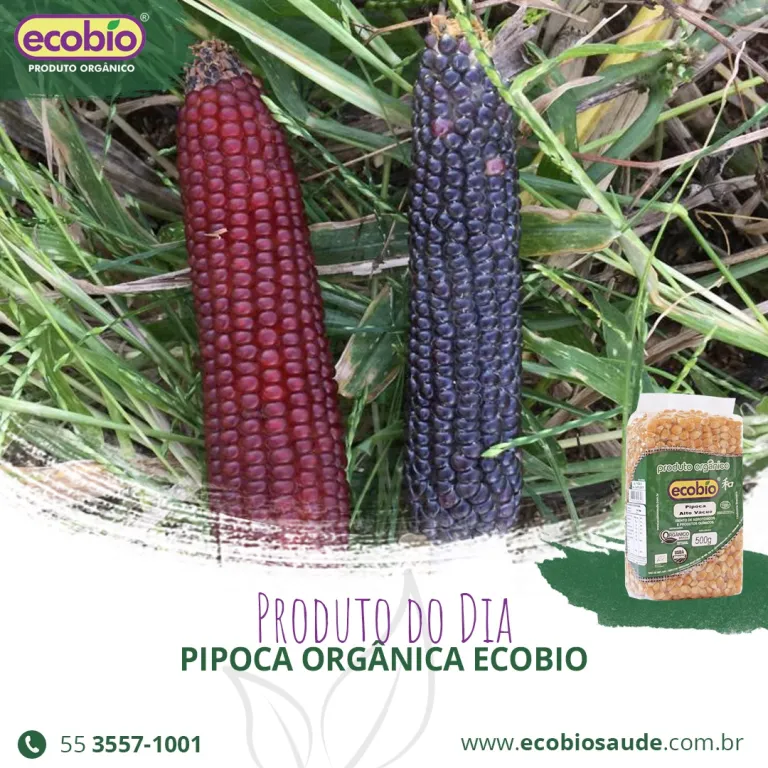Pipoca Orgânica Ecobio