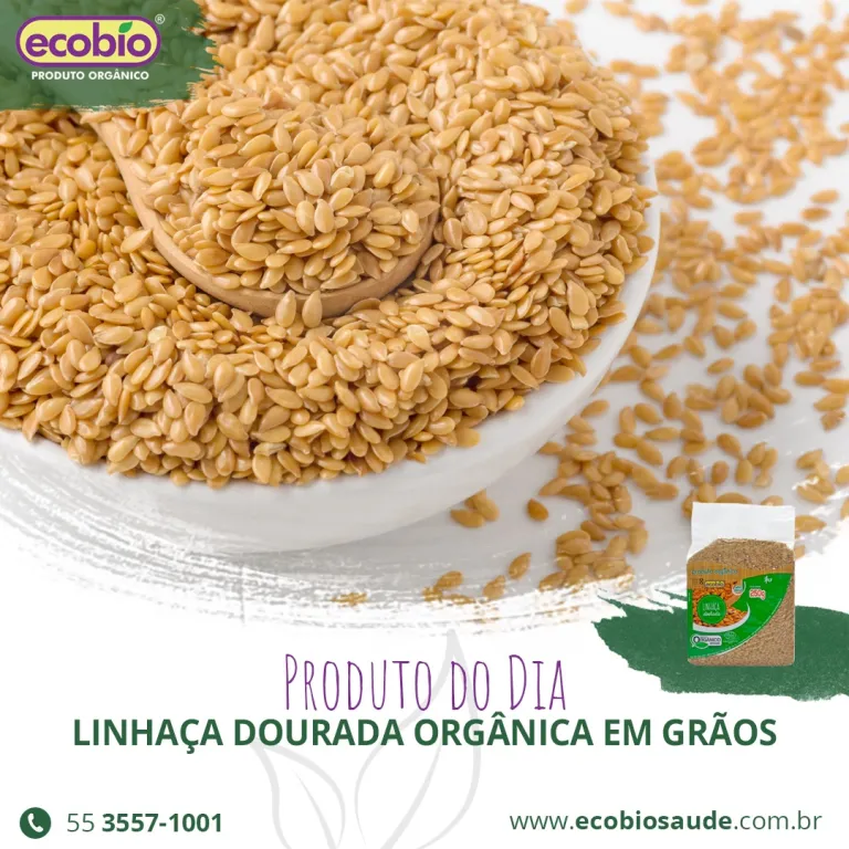 Linhaça Dourada Orgânica em grãos