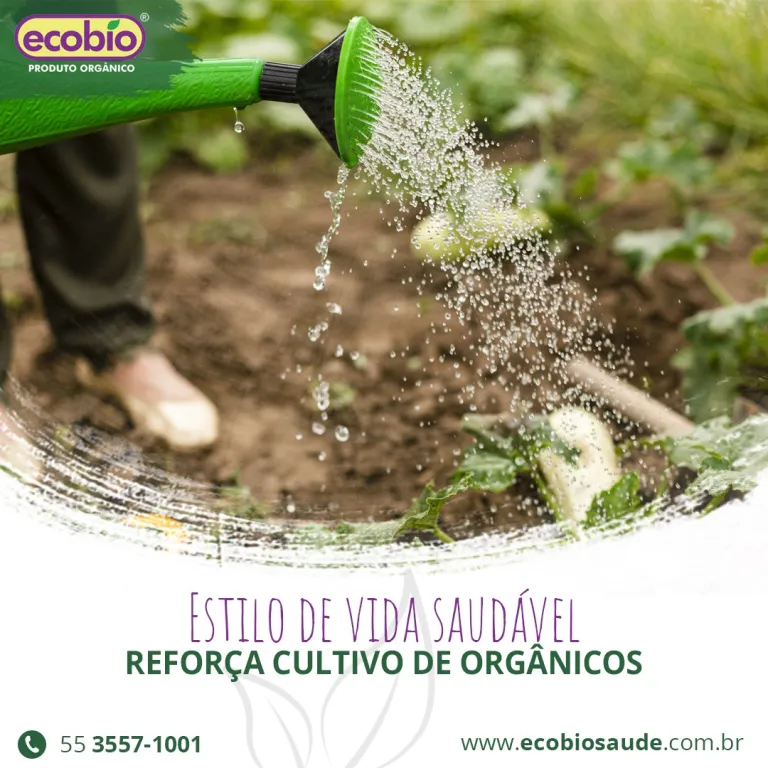 Estilo de vida saudável reforça cultivo de orgânicos