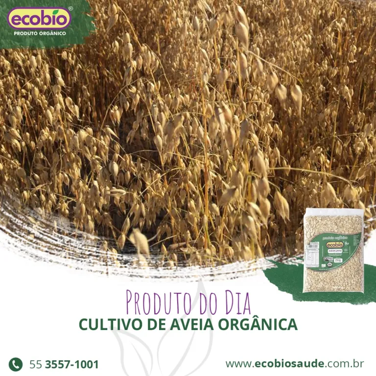 Cultivo de Aveia Orgânica