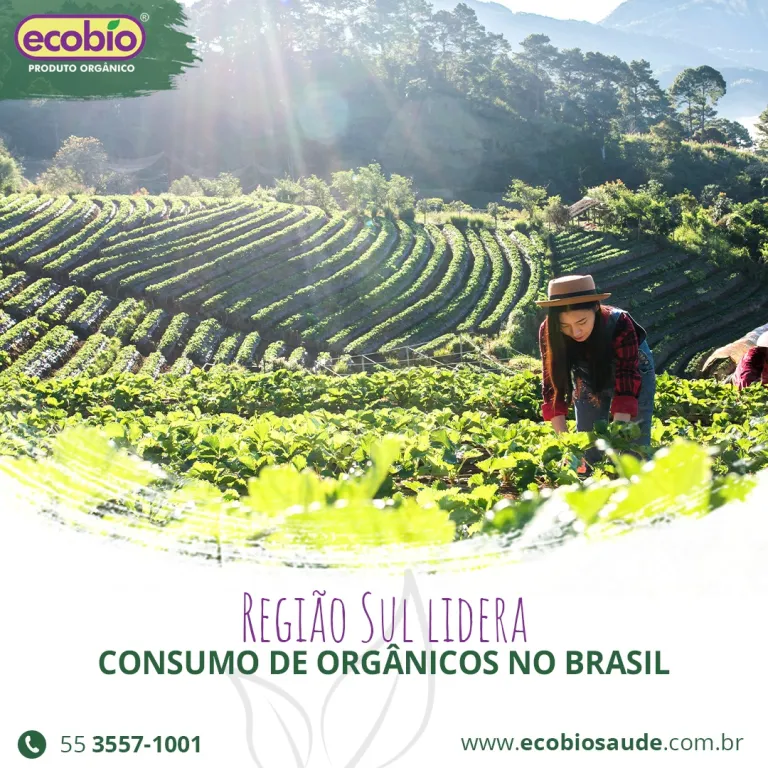 Região Sul lidera consumo de orgânicos no Brasil