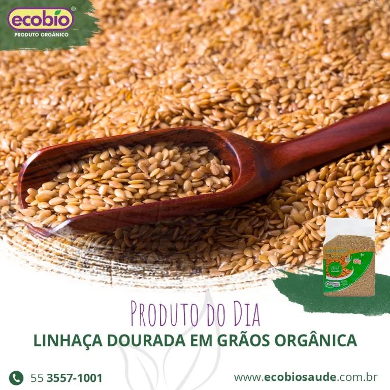 Linhaça Dourada em grãos Orgânica