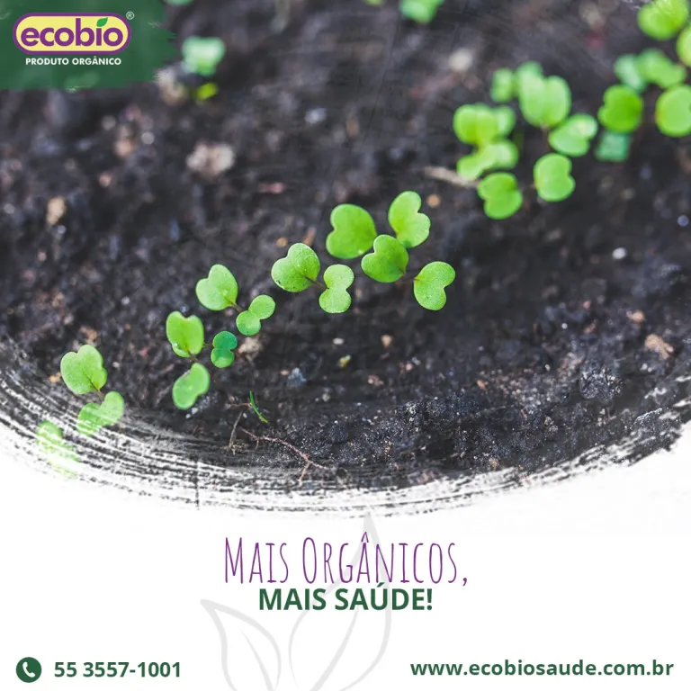Mais orgânicos, mais saúde