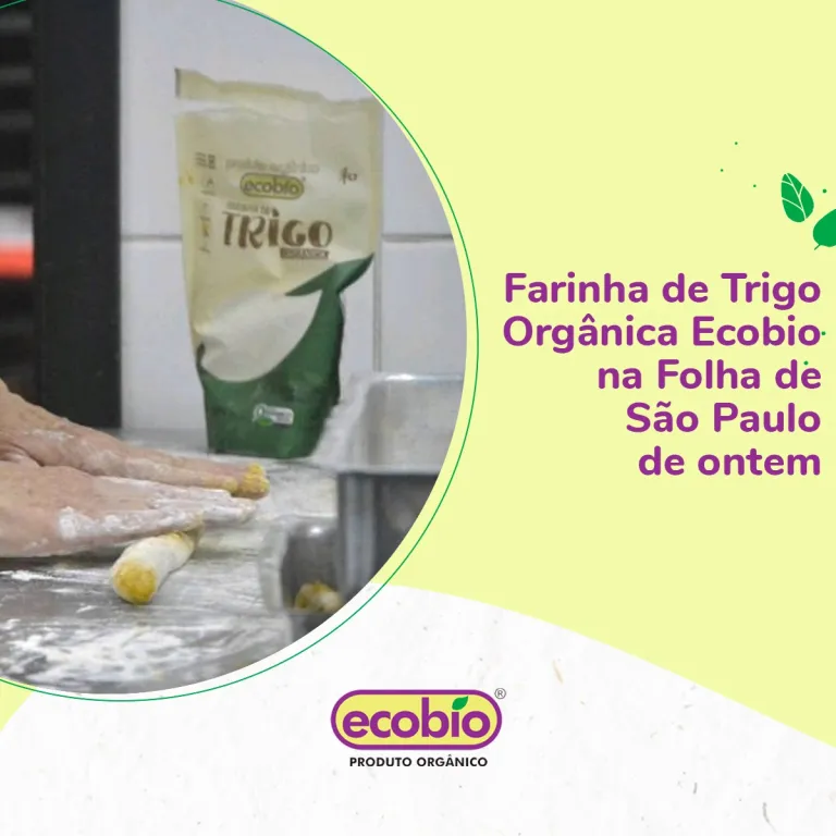 Economia solidária gera renda e autonomia a doentes psiquiátricos