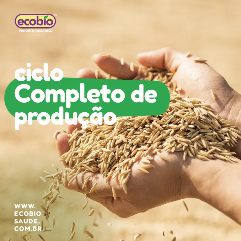 Ciclo completo de produção