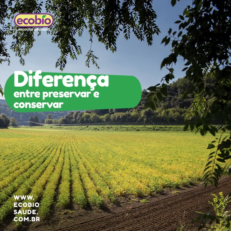 Diferença entre preservar e conservar