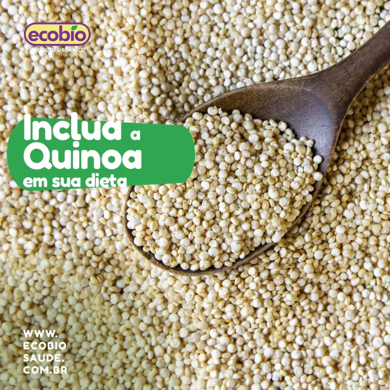 Inclua a Quinoa em sua dieta