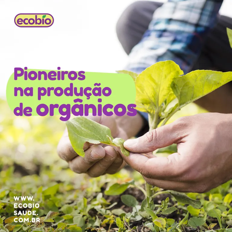 Pioneiros na produção de orgânicos