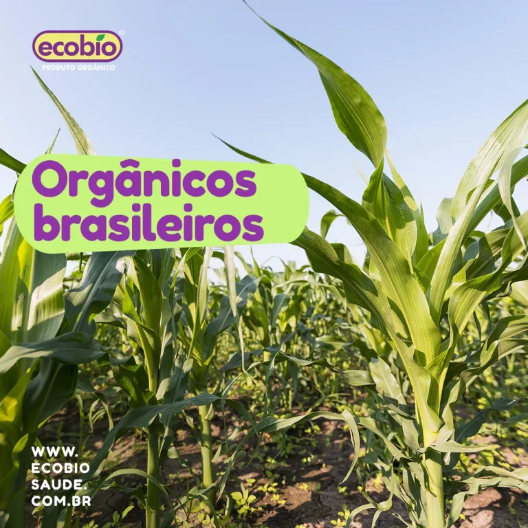 Orgânicos Brasileiros