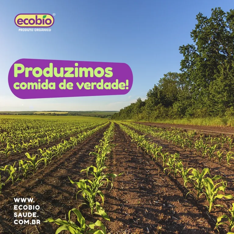 Produzimos comida de verdade