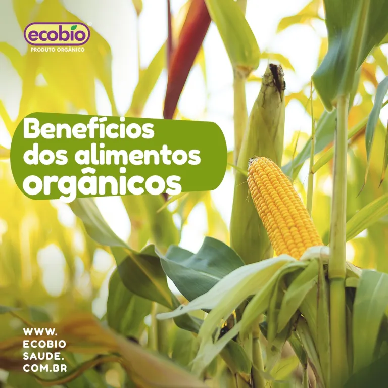 Benefícios dos alimentos orgânicos