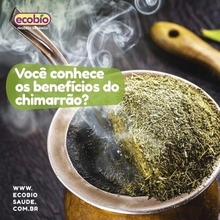 Você conhece os benefícios do Chimarrão?