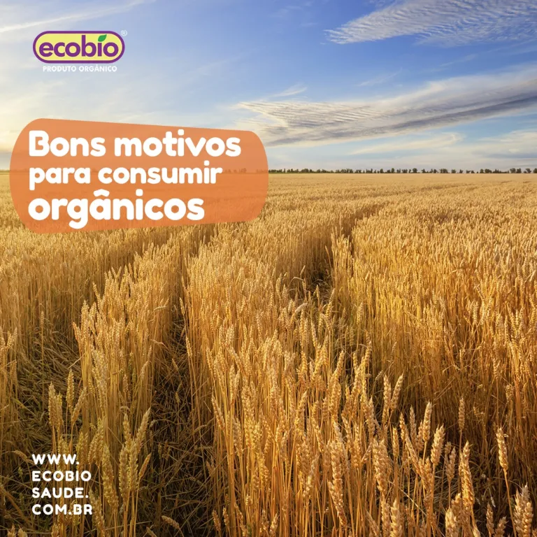 Bons motivos para consumir orgânicos