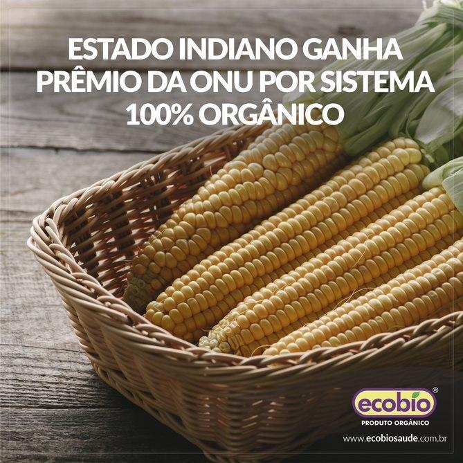 Estado indiano ganha prêmio da ONU por sistema 100% orgânico