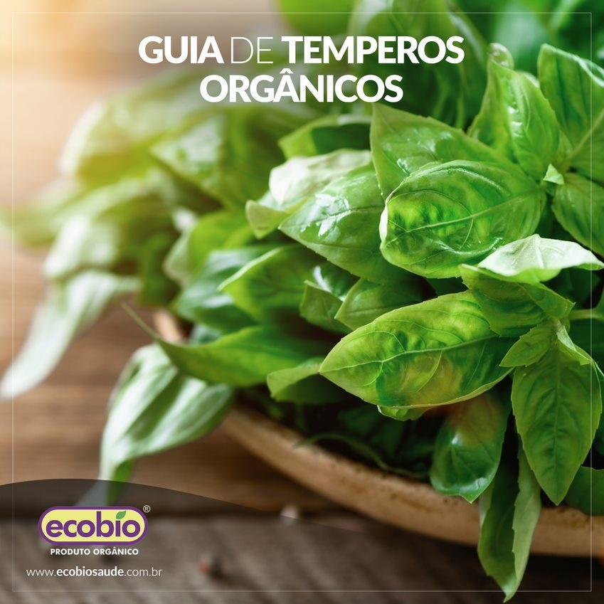 Guia de temperos orgânicos