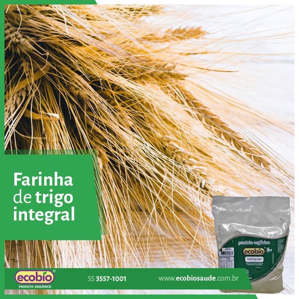 Farinha de Trigo integral