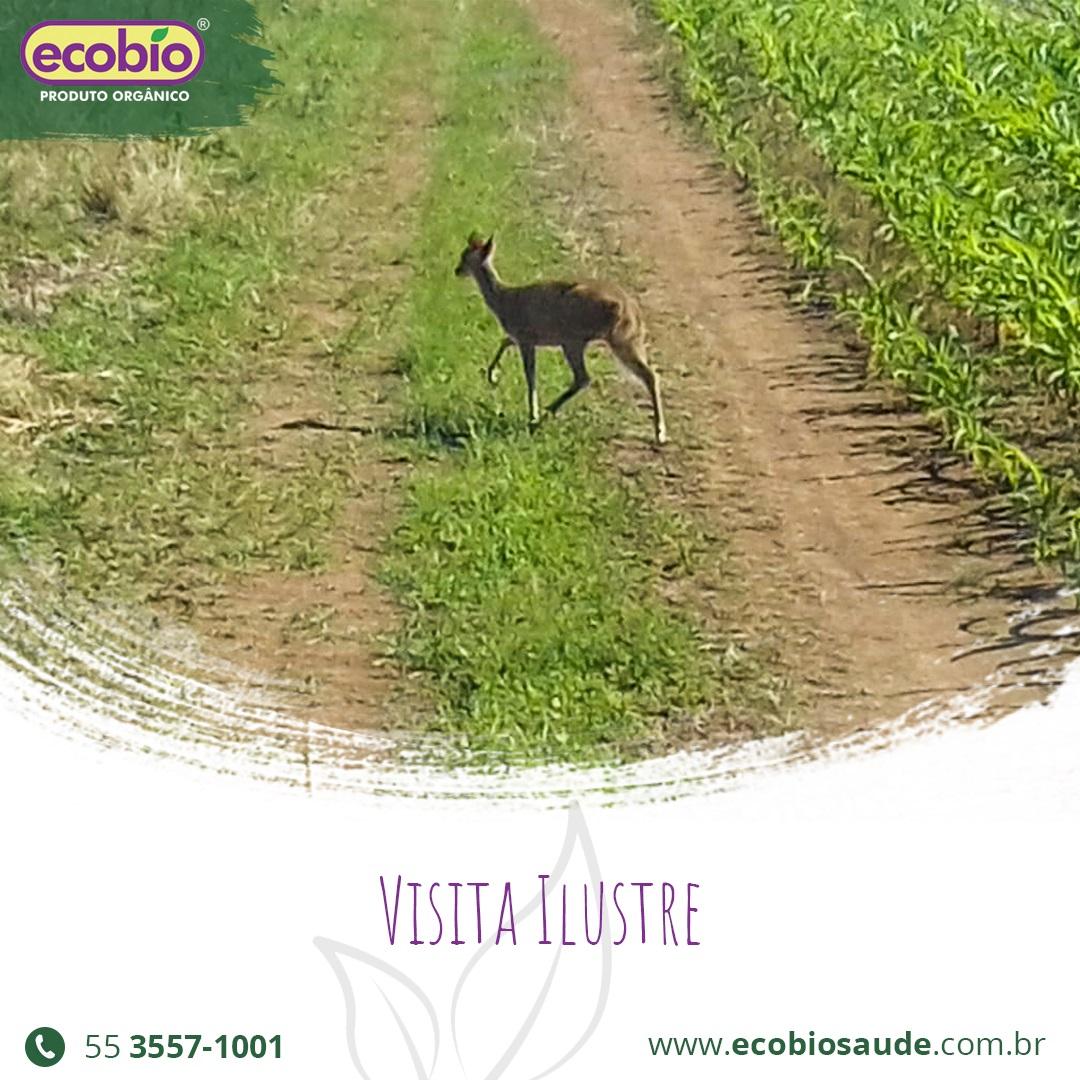 Visita ilustre!