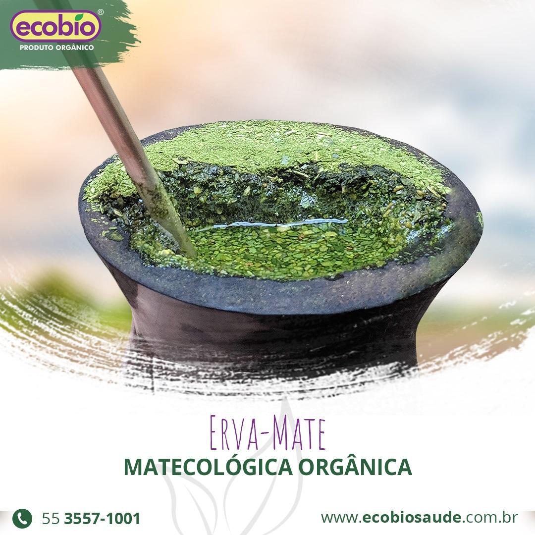 Erva-mate Matecológica Orgânica
