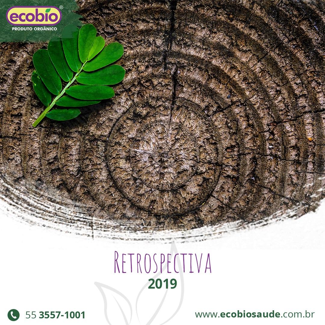 Retrospectiva 2019