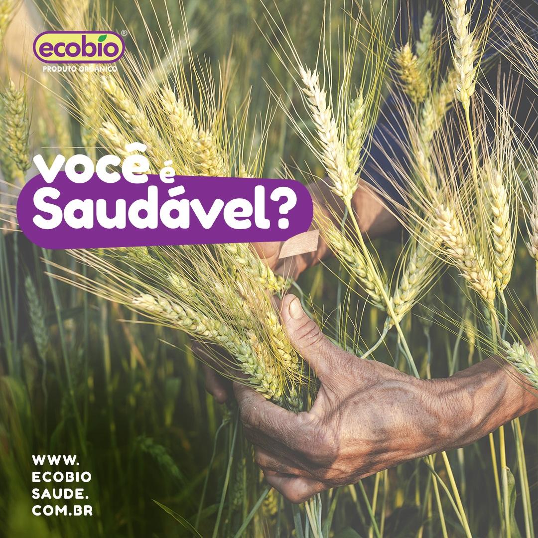 Você é saudável?
