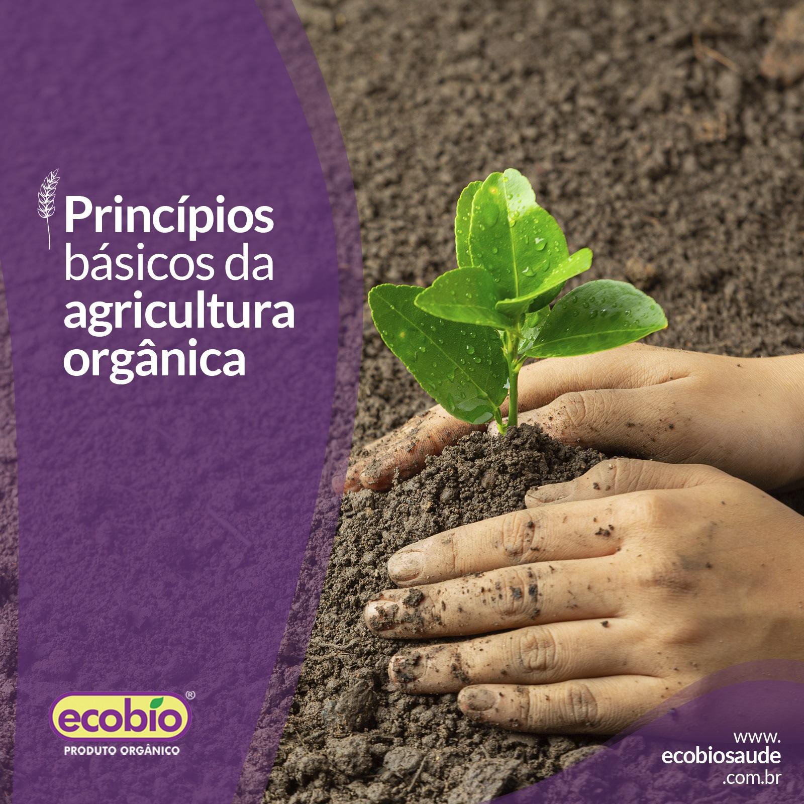 Conheça os princípios básicos da agricultura orgânica
